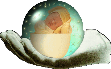 mon pr&eacute;fer&eacute;e b&eacute;b&eacute; lapin
