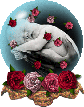 dans les roses...