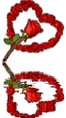 pour les vip