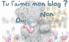 oui ou non