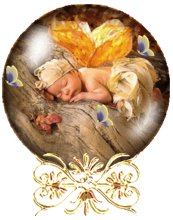 quelque image anne  geddes