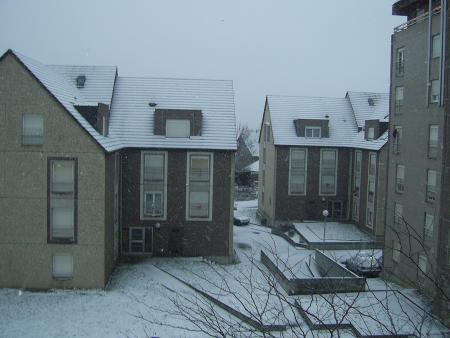 petits flocons