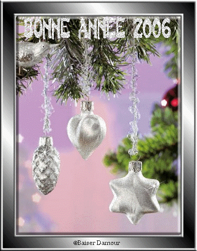 bonne an&eacute;e 2006